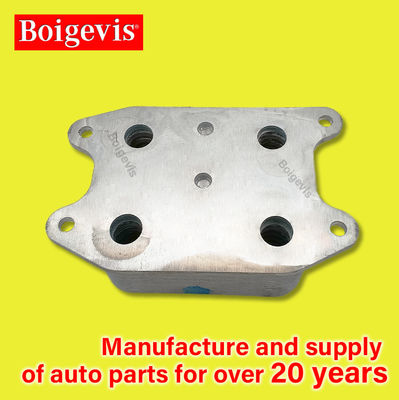 06D117021 Boigevis Motore auto personalizzato Ricambi di olio raffreddatore