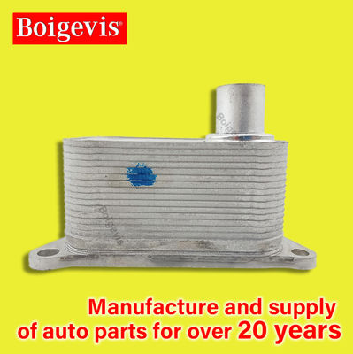 قطعات خودرو لوازم جانبی سیستم های خنک کننده رادیاتور روغن 06J117021D برای EA888 Magotan Etc.